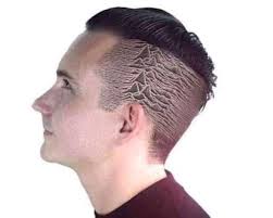 Ian Curtis School of Dance