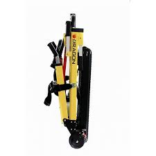 Image result for Disa stairsii