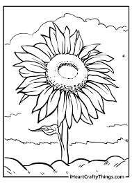 All sunflower coloring pages can be downloaded or printed for free. Sunflower Coloring Pages Updated 2021
