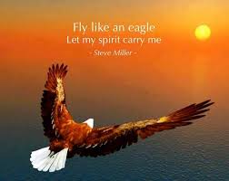 3 Fly Like An Eagle 3 Eagle Pictures Bald Eagle Eagle Images