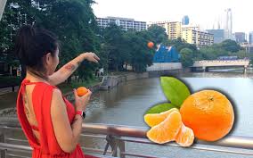 Tahun baru imlek merupakan festival terpenting dalam budaya tionghoa. Inilah Punca Batuk Batuk Selepas Makan Limau Mandarin Dari China Iluminasi