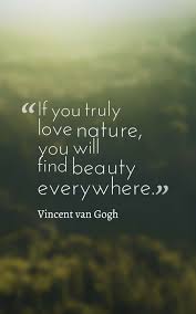 25 Best Nature Quotes To Inspire You In 2020 Nature Quotes Nature Quotes Beautiful Nature Quotes Adventure