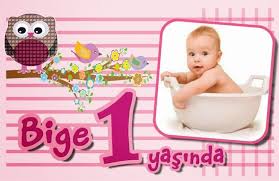 bebegim butik tasarimlar baykus temali 1 yas dogum gunu magnet dogum gunu baykus yastiklar