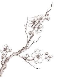 Black And White Cherry Blossom Tree Tattoo Tattoo Cherryblossom Tattoo In 2020 Cherry Blossom Drawing Cherry Blossom Art Blossoms Art