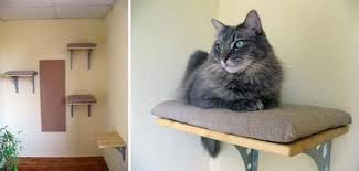 Our modular cat climbing wall designs integrate modular hanging accessories including a cat box, cat passage, cat stairs and stepped cat ladder on a vertical wall. It S A Cat Shelf Diy Cat Shelves Cat Shelves Cat Diy
