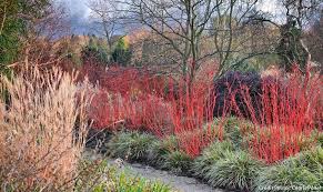 5 Idees Pour Un Jardin Beau Et Colore En Hiver Jardin D Hiver Jardins Beaux Jardins