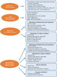 Maybe you would like to learn more about one of these? Engineering Of Biomass Accumulation And Secondary Metabolite Production In Plant Cell And Tissue Cultures Sciencedirect