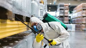 6 Essential Tips For Effective Pest Control In Your Business