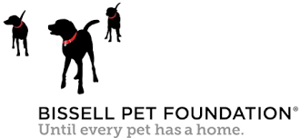 Adopt a dog or adopt a cat and you'll have a friend for life. Https Www Tailsrescue Org