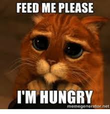 20 Hungry Memes You Ll Find Too Familiar Sayingimages Com Sorry Memes Funny Animal Memes Funny Memes