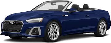 Image result for Navarra Blue 2023 A5