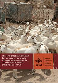 Eating whole camel in dubai. Pdf The Somali Chilled Meat Value Chain Structure Operation Profitability And Opportunities To Improve The Competitiveness Of Somalia S Chilled Meat Export Trade
