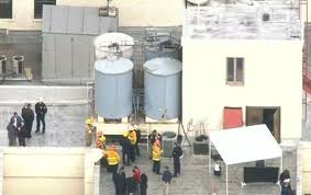 Depressive and bipolar, but probably not suicidal. Elisa Lam Cbs Los Angeles