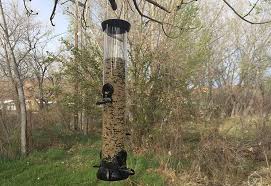 Check out these super cute homemade bird feeders and enjoy birds chirping all day! The Best Bird Feeders Reviews By Wirecutter