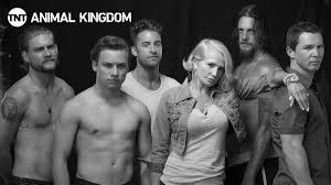 Chili a 4,99€ per la versione sd, a 4,99€ per la versione hd; Animal Kingdom 3x11 Stagione 3 Episodio 11 Streaming Sub Ita Animal Kingdom Tv Show Thriller Animal Kingdom