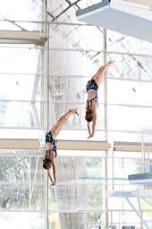 Jun 21, 2021 · focus on diving at the 2020 tokyo olympics: High Diving Wikipedia