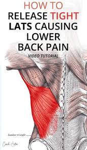 A guide to lower right back pain save the initial pain from a muscle strain may be severe, but it will likely subside over a few days. Rebecca Chealander Rchealander Profile Pinterest