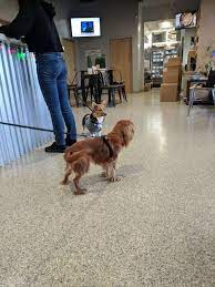 We did not find results for: Anaheim Hills Pet Clinic 5799 E La Palma Ave Anaheim Ca 92807 Usa