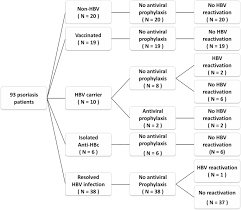 .among patients with single occult hepatitis b virus (hbv), single occult hepatitis c virus (hcv) and occult infection is more common then hepatitis b infection in maintenance hemodialysis patients. Risk Of Hepatitis B Reactivation In Patients With Psoriasis On Ustekinumab Springerlink