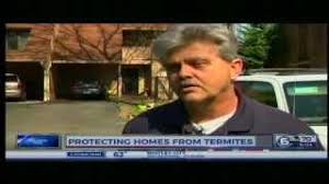 Once in your home, these unwanted guests take. Home Termite Protection Subterranean Termite Control In Knoxville Tn From Arrow Exterminators Youtube