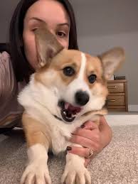 What does it mean to bring the funk in basketball?