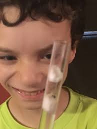 Can you identify this bug for a 3-year-old?