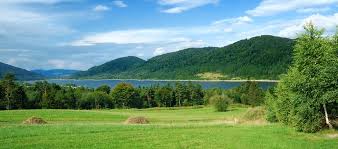 Meet Oral Surgeon Patrick A. Scioscia, DMD Lexington SC