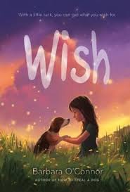 Cover Image For Wish Happy Books Chapter Books Kids Travel Journal