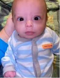 Ledger/LCJ weekly newsletter 10-26-2023