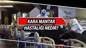Manyas'ta drone ile sivrisineklere karşı zirai ilaçlama çeltik ekiminin yoğun olduğu manyas'ta sivrisineklere karşı drone ile ilaçlama yapılıyor. Kara Mantar Hastaligi Hindistan I Alarma Gecirdi Kara Mantar Mukormikoz Hastaligi Nedir Belirtileri Nelerdir Gazete Tek