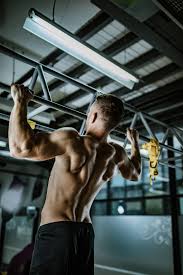 Name of muscles in your back. The 15 Back Exercises And Back Workouts For Building Muscle