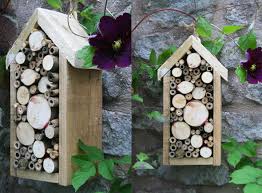 Bug Boxes To Attract Beneficial Insects To The Garden Beneficial Insects Solitary Bees Attracting Beneficial Insects