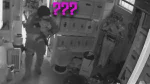 Dude Hides From Swat And Gif Dump Youtube