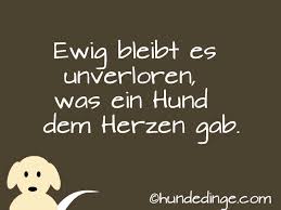 Spruchkarten Trauer Und Abschied Vom Hund Hundedinge