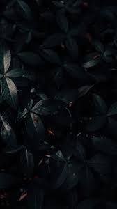 #wallpapers #wallpaper #lockscreen #lockscreens #wallpaper aesthetic #wallpaper retro #retro.₀₁₀┆bands wallpapers. Wallpapers Phone Dark Aesthetic 2021 Android Wallpapers