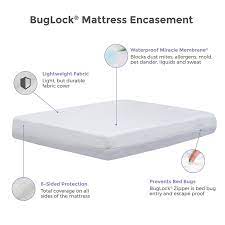 Superior bed bug mattress covers (encasements). Bed Bug Mattress Protector Cover Pad Box Spring Encasement Dust Mite Mold Free Mattress Pads Feather Beds Bedding