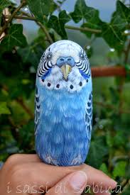 Pappagallino Dipinto Su Sasso Such A Realistic Looking Bird Painted Rock Animals Painted Rocks Rock Painting Patterns
