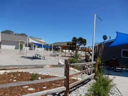 Freedom point picnic area is approximately 11 miles north of butte montana on interstate 15. Summer Shade At Buena Vista S Mt Princeton Rv Park Camping Colorado Outdoor Vacation Cabin Camping