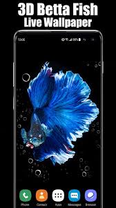 3d Betta Fish Live Wallpaper For Android Apk Download