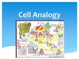 We did not find results for: Cell Analogy Ppt Download