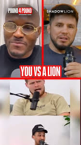 Im going to make you eat your words Jose Baldo! I'll be honored to give you  your pink slip from the UFC because I'm about to retire you! I'm serving  stinky, burnt