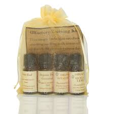 Image result for Olfactory Training