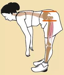 Pin On Back Pain Relief Exercises