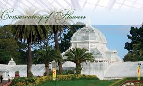 Color photographs of plants and special exhibits inside the conservatory, and of the grounds immediately outside, including the arizona or desert garden. Up To 52 Off At Conservatory Of Flowers Conservatory Of Flowers Groupon