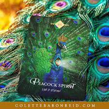 Maybe you would like to learn more about one of these? Colette Baron Reid The Daily Oracle Opening Your Connection To The Universe Where Anything Becomes Possible This Card Peacock Spirit Let It Shine Is From My Deck The Spirit Animal Oracle