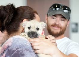 Stark County roundup: News from around the Canton region