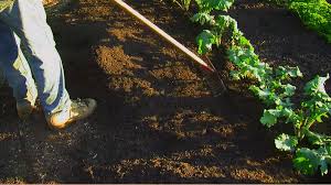 Before laying the sawdust down, mix 1 pound (453.5 gr.) of actual nitrogen with every 50 pounds (22.5 kg) of dry sawdust. What Is Wood Chip Gardening Back To Eden Gardening Documentary
