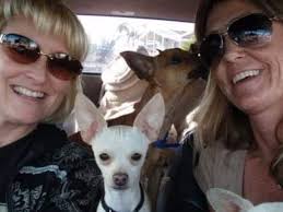 Fundraiser by Paula Koellmann : Help Open Arms Rescue in honor of Reina  Ortner