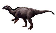 camptosaurus wikipedia the free encyclopedia prehistoric animals dinosaur pictures dinosaur history