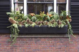 Flowering cabbage and flowering kale (brassica oleracea) are good starting points, as the sturdy. Ideas For Urban Window Box Gardens How To Make Window Boxes For Winter